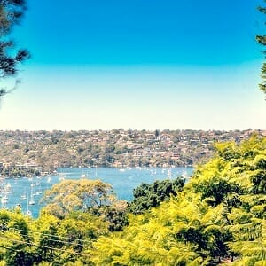 Cammeray Buyers Agent